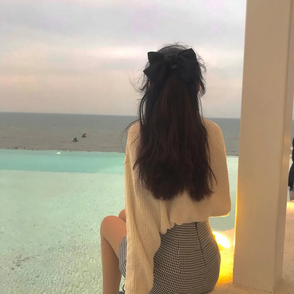 美国派9